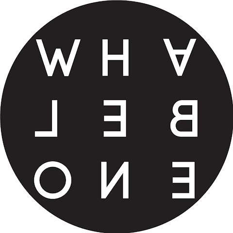 Jobs in Whalebone Flagship - reviews
